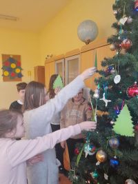 Choinka strojna w czytanie