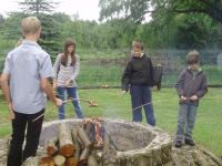 Konkurs wiedzy przyrodniczo-leśnej