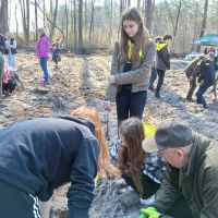 Las ku pamięci Jana Pawła II