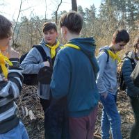 Las ku pamięci Jana Pawła II