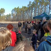 Las ku pamięci Jana Pawła II