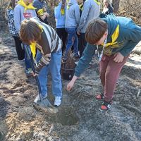 Las ku pamięci Jana Pawła II