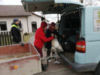 Pomoc dla uchodźców z Ukrainy