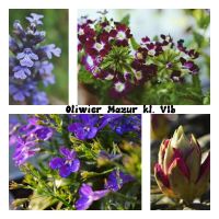 Rozstrzygnięcie konkursu