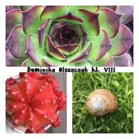 Rozstrzygnięcie konkursu