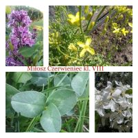 Rozstrzygnięcie konkursu