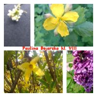 Rozstrzygnięcie konkursu