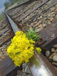 Moja mała Ojczyzna i jej piękno