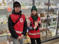 Wolontariusze Szkolnego Koła Caritas