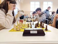 Udane szachowe mistrzostwa