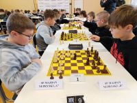 Udane szachowe mistrzostwa