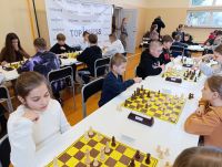 Udane szachowe mistrzostwa