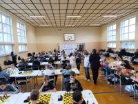 Udane szachowe mistrzostwa