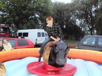 Wykopki, wykopki i po wykopkach...