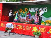 Wykopki, wykopki i po wykopkach...