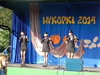 Wykopki 2014